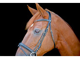 Bridon New Classic muserolle combinee noir
