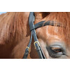 Bridon New Classic muserolle combinee noir