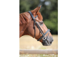 Bridle New Fancy flash noseband black
