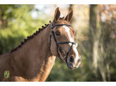 Hoofdstel New Mexican mexicaanse neusriem zwart