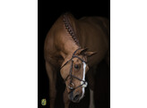 Bridle New Mexican fig. 8 noseband nut brown