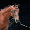 Magic Longe by Symons