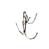 Bricole Eventing / 5-points