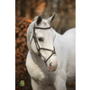 Bridon  New Pro  - boucles laiton