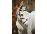 Bridon  New Pro  - boucles laiton