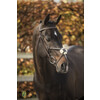 Bridle  New Pro  - ss buckles