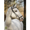 Bridle  New Pro  drop noseband - ss buckles