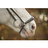 Bridle  New Pro  drop noseband - ss buckles