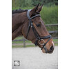 Bridon LEGACY / PRIMUS