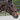 Bridon LEGACY / PRIMUS
