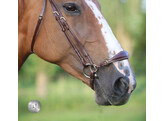 Drop noseband