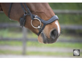 POLIDOR anatomical drop noseband