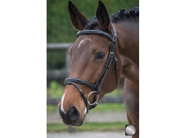 Bridon LEGACY muserolle combinee