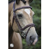 Bridle LEGACY flash noseband