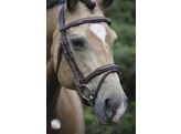 Bridle LEGACY flash noseband