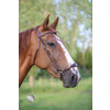 Bridle FANCY drop noseband