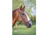 Bridle FANCY drop noseband