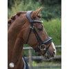 Bridle SUPERIOR PATENT