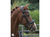 Bridle SUPERIOR PATENT