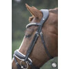 Bridle SUPERIOR PATENT