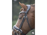 Bridle SUPERIOR PATENT