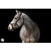 Bridon JACKSON - CS chocolate