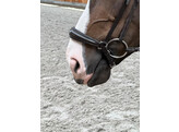 Drop noseband  chrome buckles