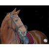 Bridle SHELENA