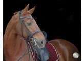 Bridle SHELENA