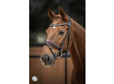 Bridle SHELENA