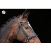 Bridon Limited browband Stellux flat leather - PS black