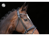 Bridon Limited browband Stellux flat leather - PS black