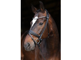 Bridle Limited browband Stellux rolled leather