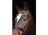 Bridle Limited browband Stellux rolled leather