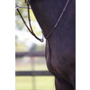 Pro Selected running martingale with SS buckles
