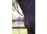 Pro Selected running martingale with SS buckles
