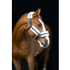 Halster nylon met vacht