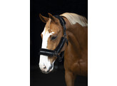 Halster nylon met vacht