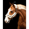 Halster nylon met vacht