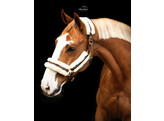 Halster nylon met vacht