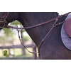 Jachtmartingaal New Pro - messing gespen Cob zwart
