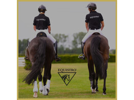 EQUISTRO-tile-0