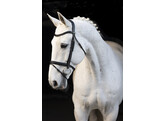 Bridon CLASSIC TOUCH