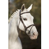 Bridle New Pro - ss buckles