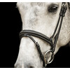 Bridle New Pro - ss buckles