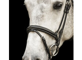 Bridle New Pro - ss buckles