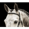 Bridle New Pro - ss buckles