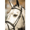 Bridle New Pro - ss buckles