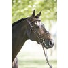 Bridle LEGENDARY