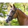 Bridle LEGENDARY